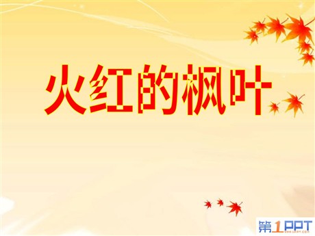 《火红的枫叶》PPT课件3