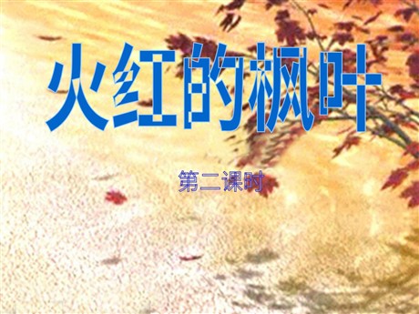 《火红的枫叶》PPT课件4