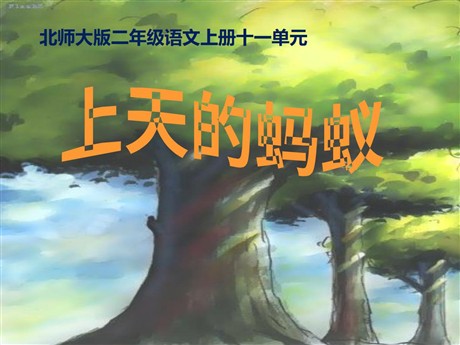 《上天的蚂蚁》PPT课件3