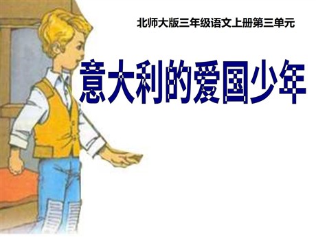 《意大利的爱国少年》PPT课件2