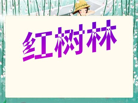 《红树林》PPT课件3