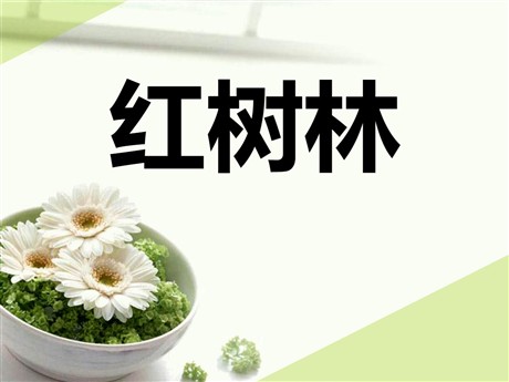 《红树林》PPT课件5