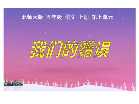 《我们的错误》PPT课件4