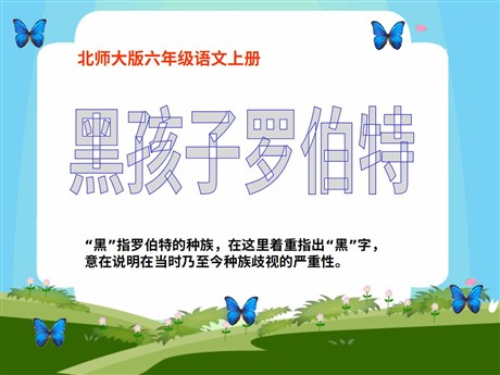 《黑孩子罗伯特》PPT课件4