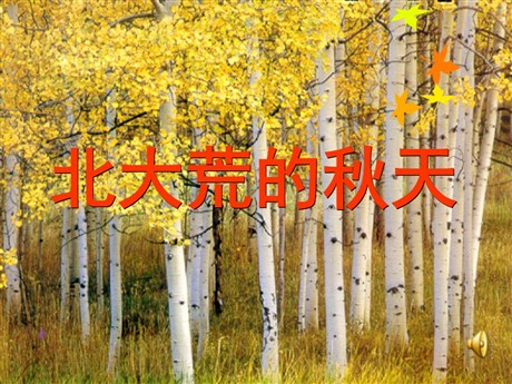 《北大荒的秋天》PPT课件4