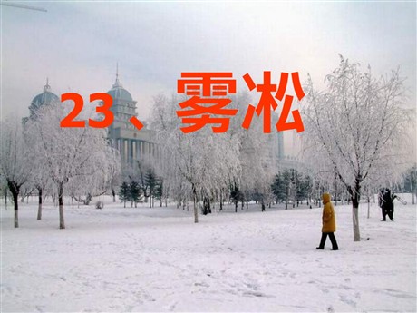 《雾凇》PPT课件5