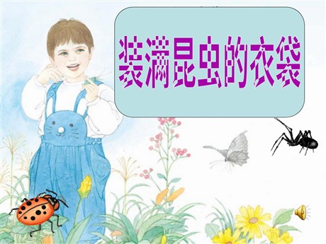 《装满昆虫的衣袋》PPT课件3