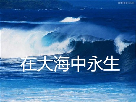 《在大海中永生》PPT课件3