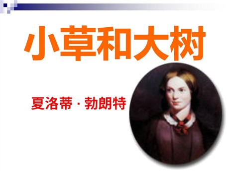 《小草和大树》PPT课件4