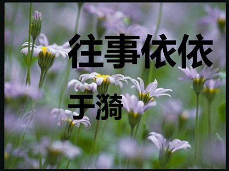 《往事依依》PPT课件2
