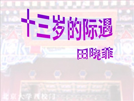 《十三岁的际遇》PPT课件3