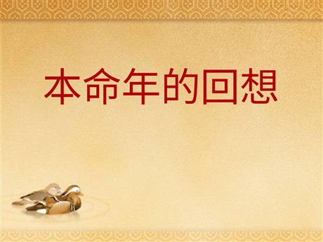 《本命年的回想》PPT课件3