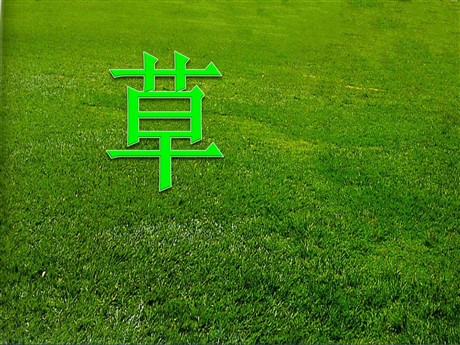 《草》PPT课件5