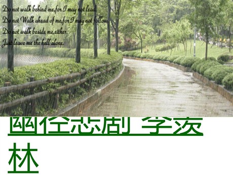 《幽径悲剧》PPT课件2