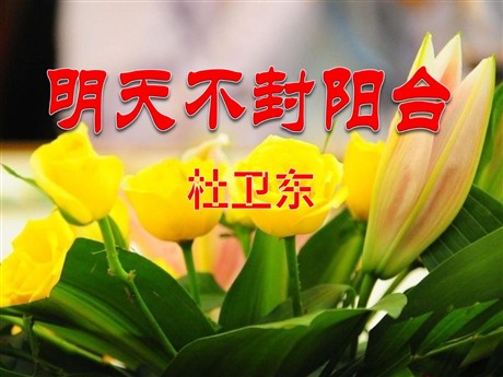 《明天不封阳台》PPT课件3