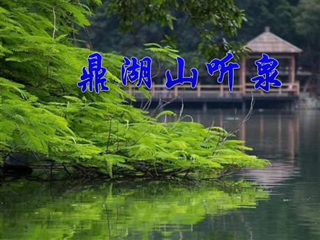 《鼎湖山听泉》PPT课件3