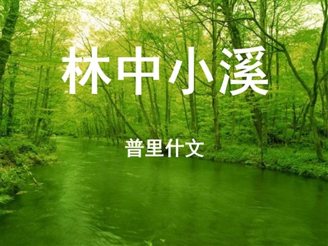 《林中小溪》PPT课件3