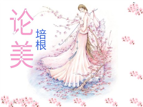 《论美》PPT课件