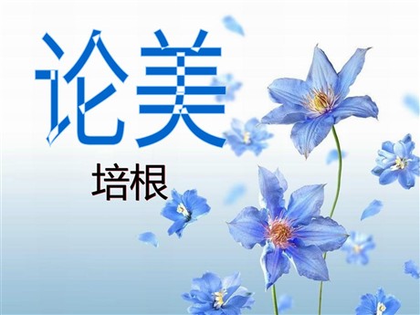 《论美》PPT课件3