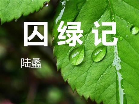 《囚绿记》PPT课件4