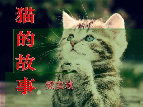 《猫的故事》PPT课件