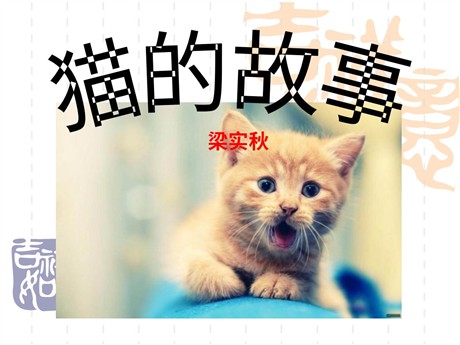 《猫的故事》PPT课件3