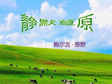 《静默草原》PPT课件5