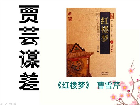 《贾芸谋差》PPT课件3