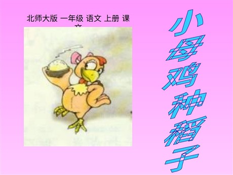 《小母鸡种稻子》PPT课件3