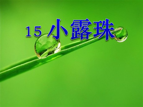 《小露珠》PPT课件3
