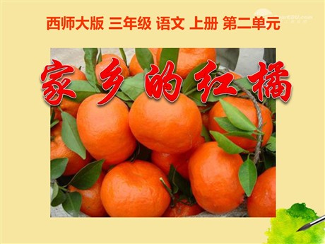 《家乡的红橘》PPT课件5