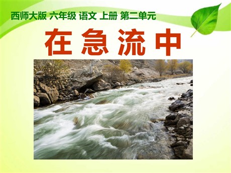 《在急流中》PPT课件5