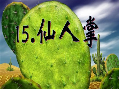 《仙人掌》PPT课件4