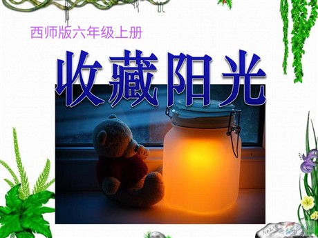 《收藏阳光》PPT课件4