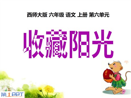 《收藏阳光》PPT课件5