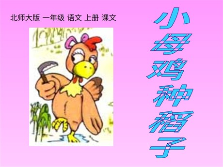 小母鸡种稻子ppt教学课件下载