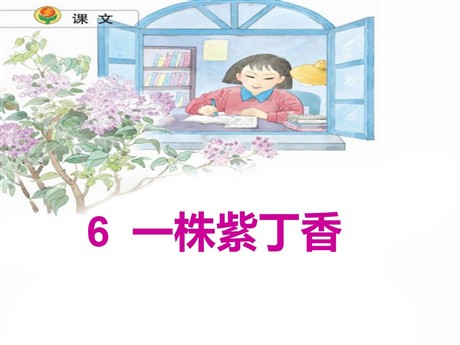 《一株紫丁香》PPT教学课件下载2