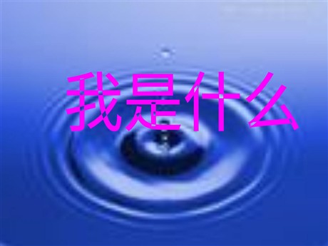 《我是什么》PPT教学课件下载2