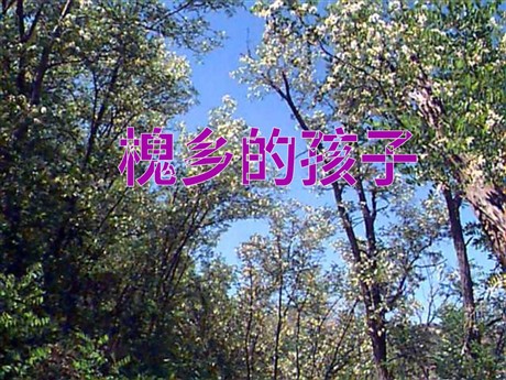 《槐乡的孩子》PPT教学课件下载2