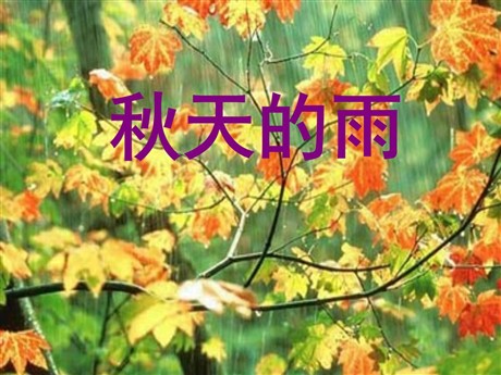 《秋天的雨》PPT教学课件下载