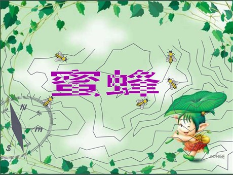 《蜜蜂》PPT教学课件下载2