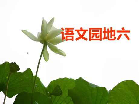 语文园地六PPT教学课件下载