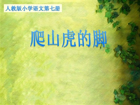 《爬山虎的脚》PPT教学课件下载4