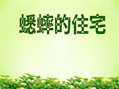 《蟋蟀的住宅》PPT教学课件下载3