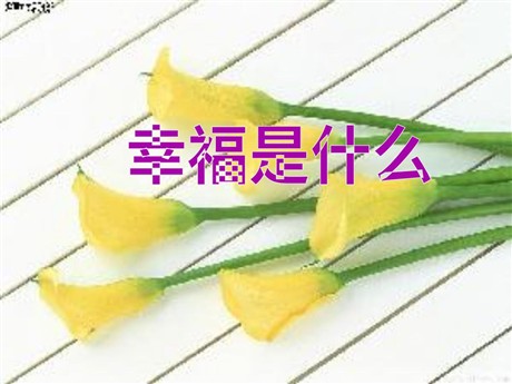 《幸福是什么》PPT教学课件下载3