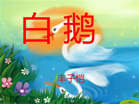 《白鹅》PPT课件下载2
