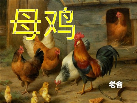 《母鸡》PPT课件下载
