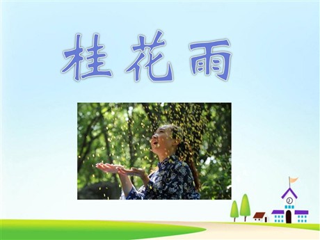 《桂花雨》PPT课件下载2