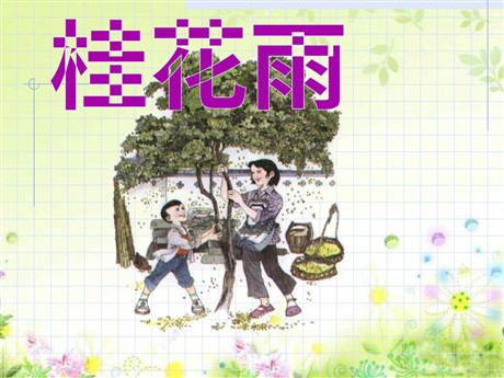 《桂花雨》PPT课件下载3