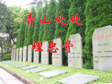 《青山处处埋忠骨》PPT课件下载